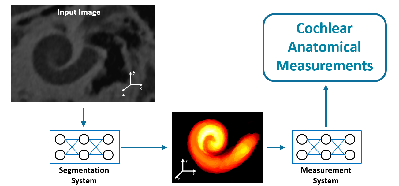 Cochlea system